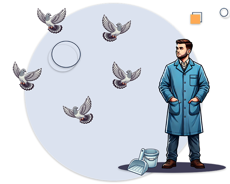 slider image